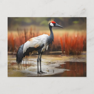 水の上に立つ赤い冠の鶴 ポストカード