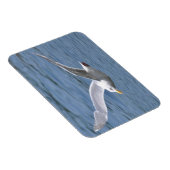 水の上のカモメクルージング マグネット (右側)