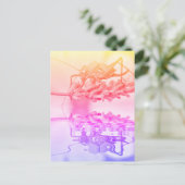 水の上のキリギリス ポストカード (スタンド正面)