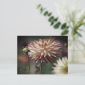 水の上のダリアの花 ポストカード (スタンド正面)