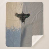 水の上の小さな鳥 シェルパブランケット (正面)
