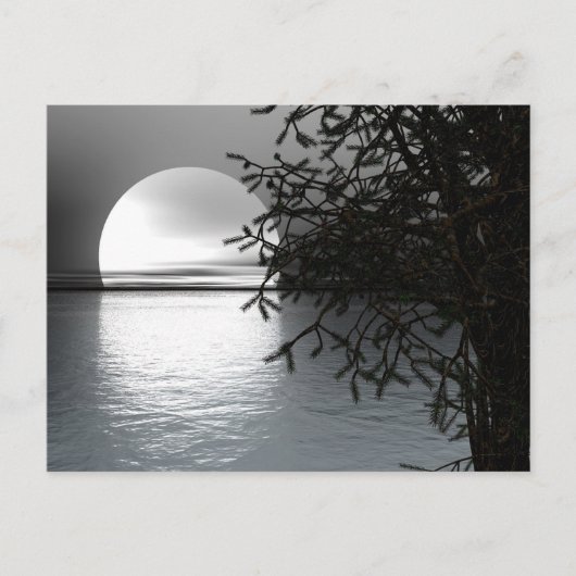 水の上の月明かり ポストカード (正面)