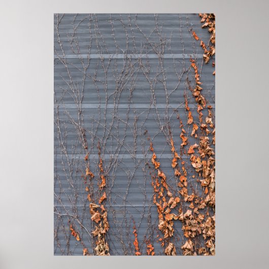 水の上葉に乾燥した茶色 ポスター (正面)