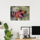 水の下の紅葉 ポスター (ホームオフィス)