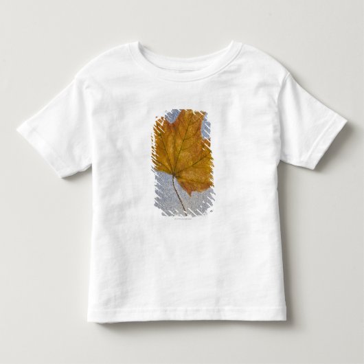 水の下の黄色いカエデの葉 トドラーTシャツ (正面)