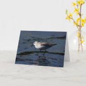 水の中でのサンダリング カード (黄色い花)