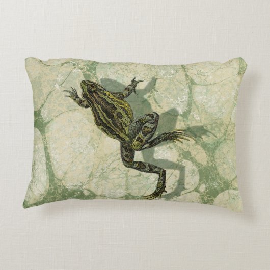 水の中で勝利するヒキガエル アクセントクッション (裏面)