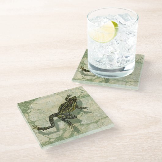 水の中で勝利するヒキガエル ガラスコースター (アングル)