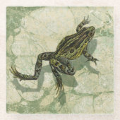 水の中で勝利するヒキガエル ガラスコースター (正面)