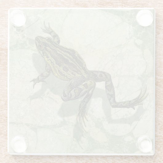 水の中で勝利するヒキガエル ガラスコースター (裏面)