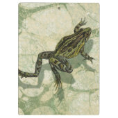 水の中で勝利するヒキガエル クリップボード (裏面)