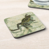 水の中で勝利するヒキガエル コースター (左側)