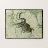 水の中で勝利するヒキガエル ジグソーパズル (横)