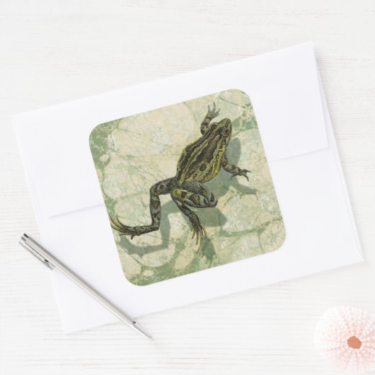 水の中で勝利するヒキガエル スクエアシール (封筒)