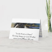 水の中で夜明け馬のグリーティングカード カード (裏面)