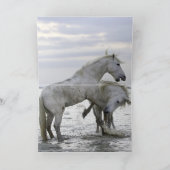水の中で夜明け馬のグリーティングカード カード (内部)