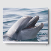 水の中で微笑むイルカ ゲストブック (裏面)