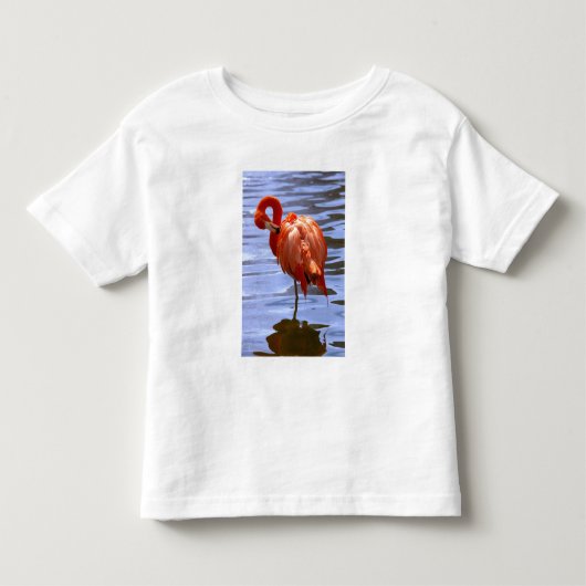 水の中で片足で立つフラミンゴ トドラーTシャツ (正面)