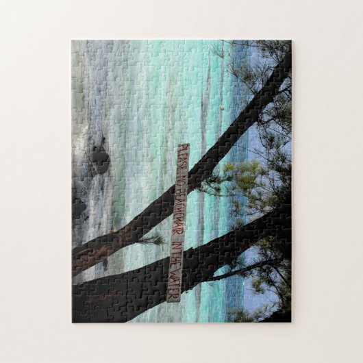 水の中にビーチ椅子がない。グランドケイマン ジグソーパズル (縦)