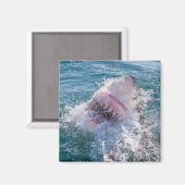 水の中のサメ マグネット (正面/裏面)