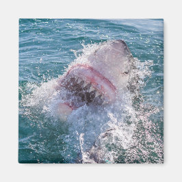 水の中のサメ マグネット