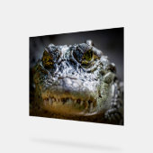 水の中のワニ アクリルサイン (傾斜)