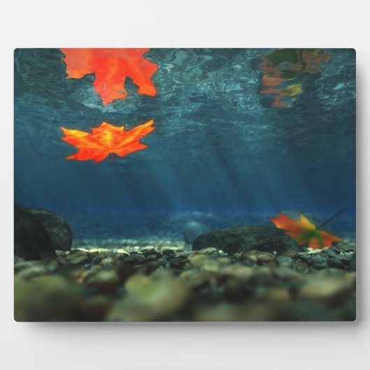 水の中の炎写真プラーク フォトプラーク (正面)