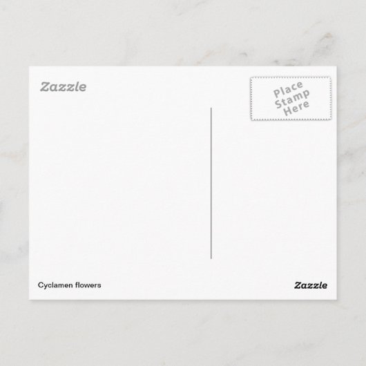 水の中の白いシクラメンの花 ポストカード (裏面)