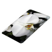 水の中の白いラン柔軟なフォトマグネット マグネット (左側)