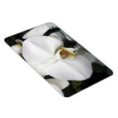 水の中の白いラン柔軟なフォトマグネット マグネット (右側)