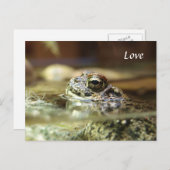 水の中の蛙 ポストカード (正面/裏面)