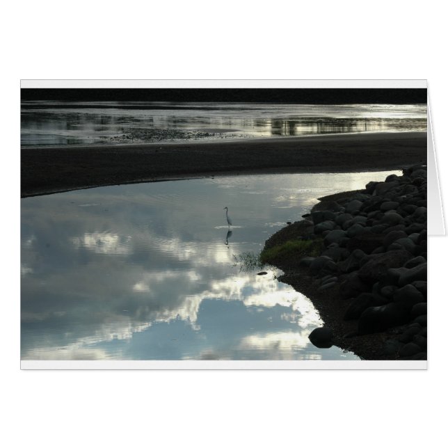 水の中の鳥 (正面横)