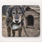 水の入っていない水飲み器を持った悲しそうな犬 マウスパッド (正面)