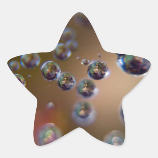 水の動き 星シール (正面)