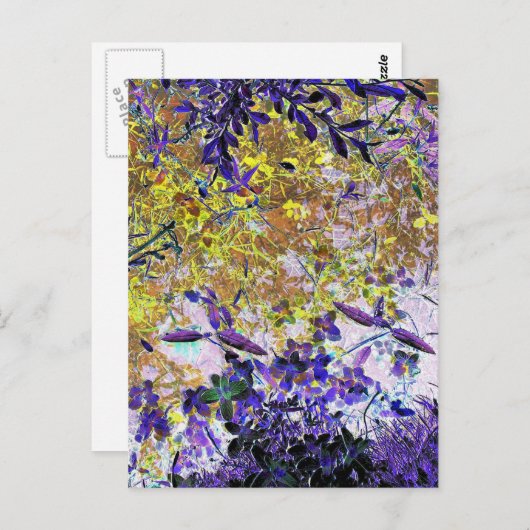 水の反射 ポストカード (正面/裏面)