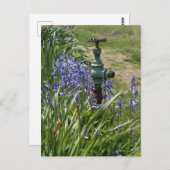 水の噴出を囲む紫の花 ポストカード (正面/裏面)