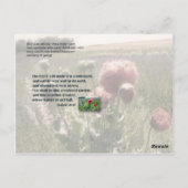 水の多い庭園 ポストカード (裏面)