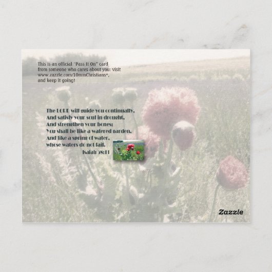 水の多い庭園 ポストカード (裏面)