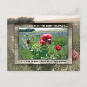 水の多い庭園 ポストカード (正面)