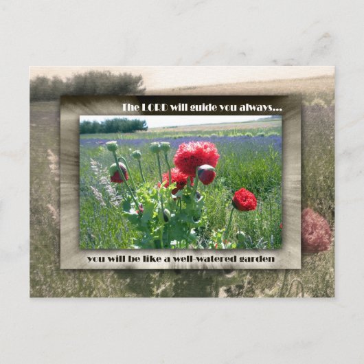 水の多い庭園 ポストカード (正面)