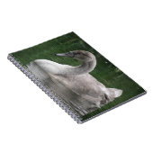 水の手帳に描かれた優雅な白鳥 ノートブック (右側)