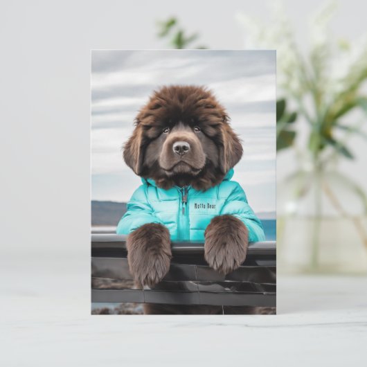 水の救助の見張り子犬 サンキューカード (スタンド正面)