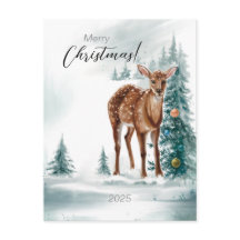 水の森でクリスマスドー