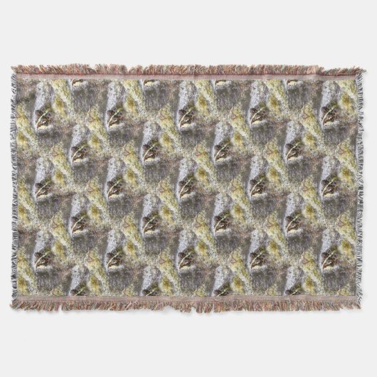 水の泡とカエルの卵に浸るカエル スローブランケット (正面)