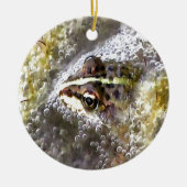 水の泡とカエルの卵に浸るカエル セラミックオーナメント (正面)