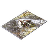 水の泡とカエルの卵に浸るカエル ノートブック (左側)