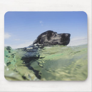 水の犬の水泳 マウスパッド