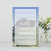 水の犬の水泳 便箋 (スタンド正面)