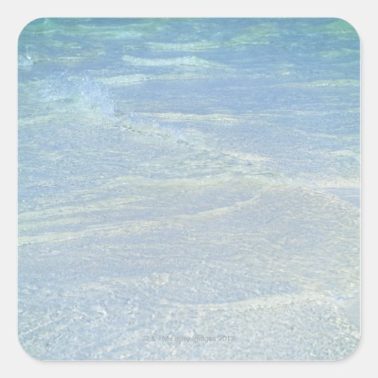 水の端2 スクエアシール (正面)