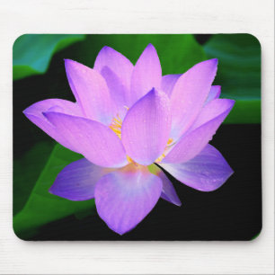 水の美しい紫色のはすの花 マウスパッド
